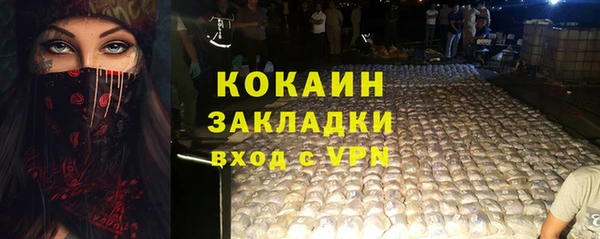 трава Бородино