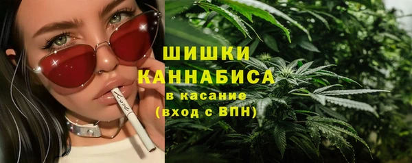 трава Бородино