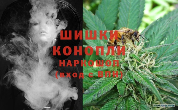трава Бородино